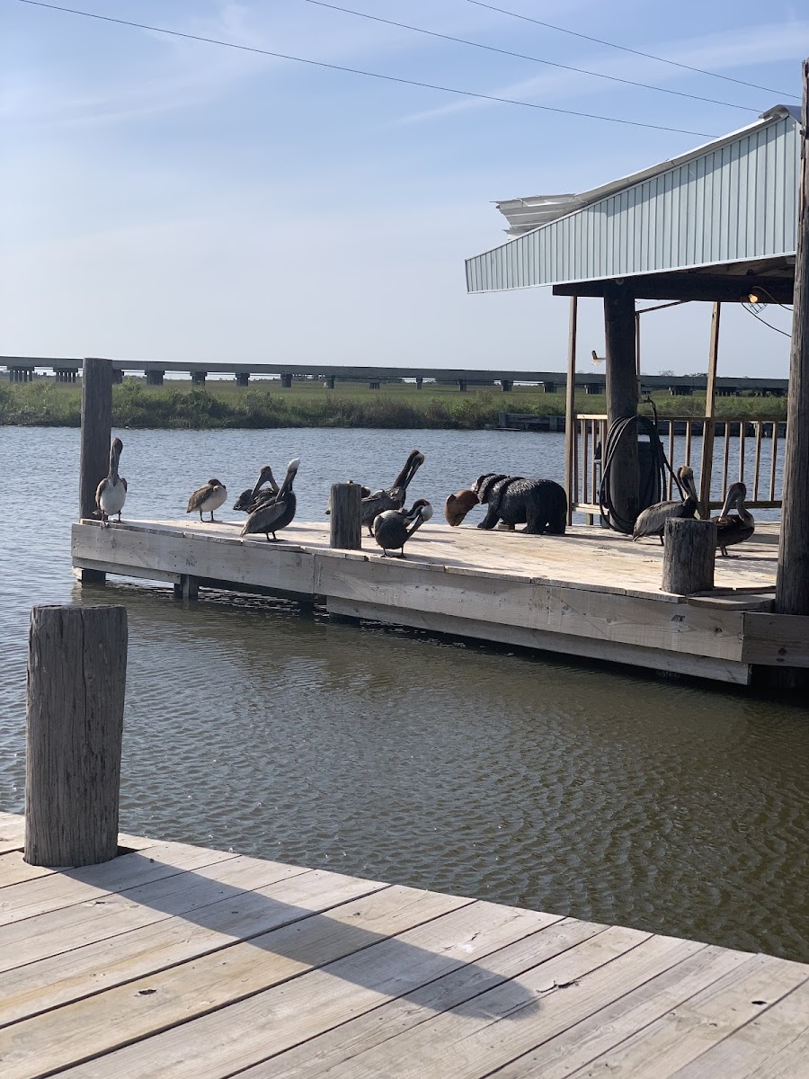 Boudreaux's Waterfront Motel